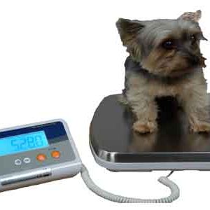 veterinary vet scales Dog scale. Veterinary hospital scale